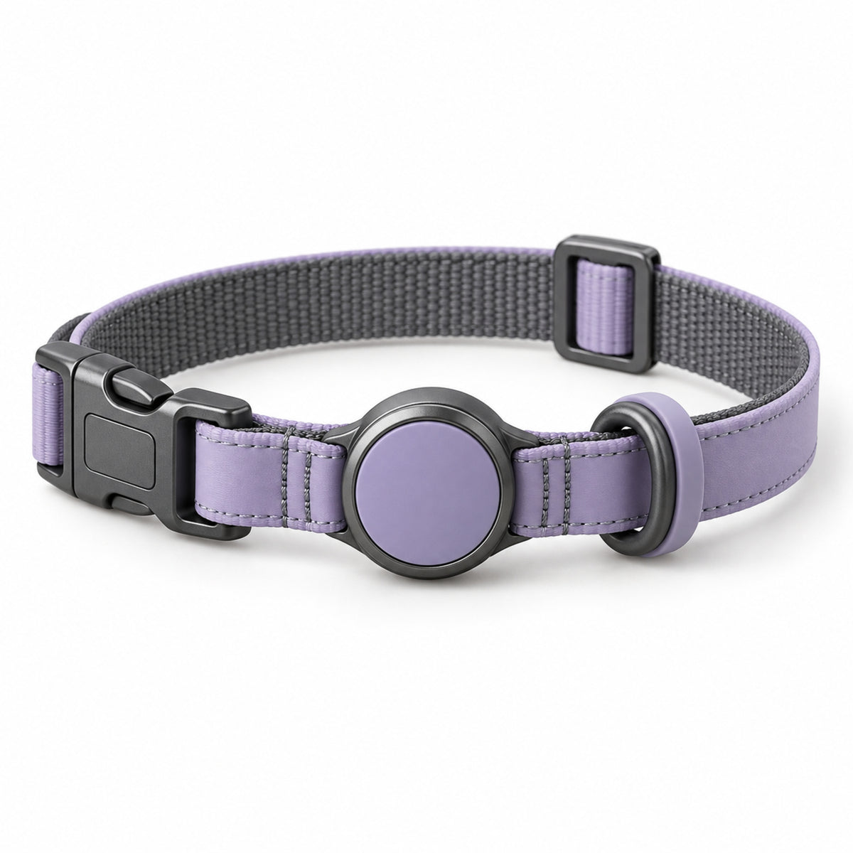 Halo Tag Collar
