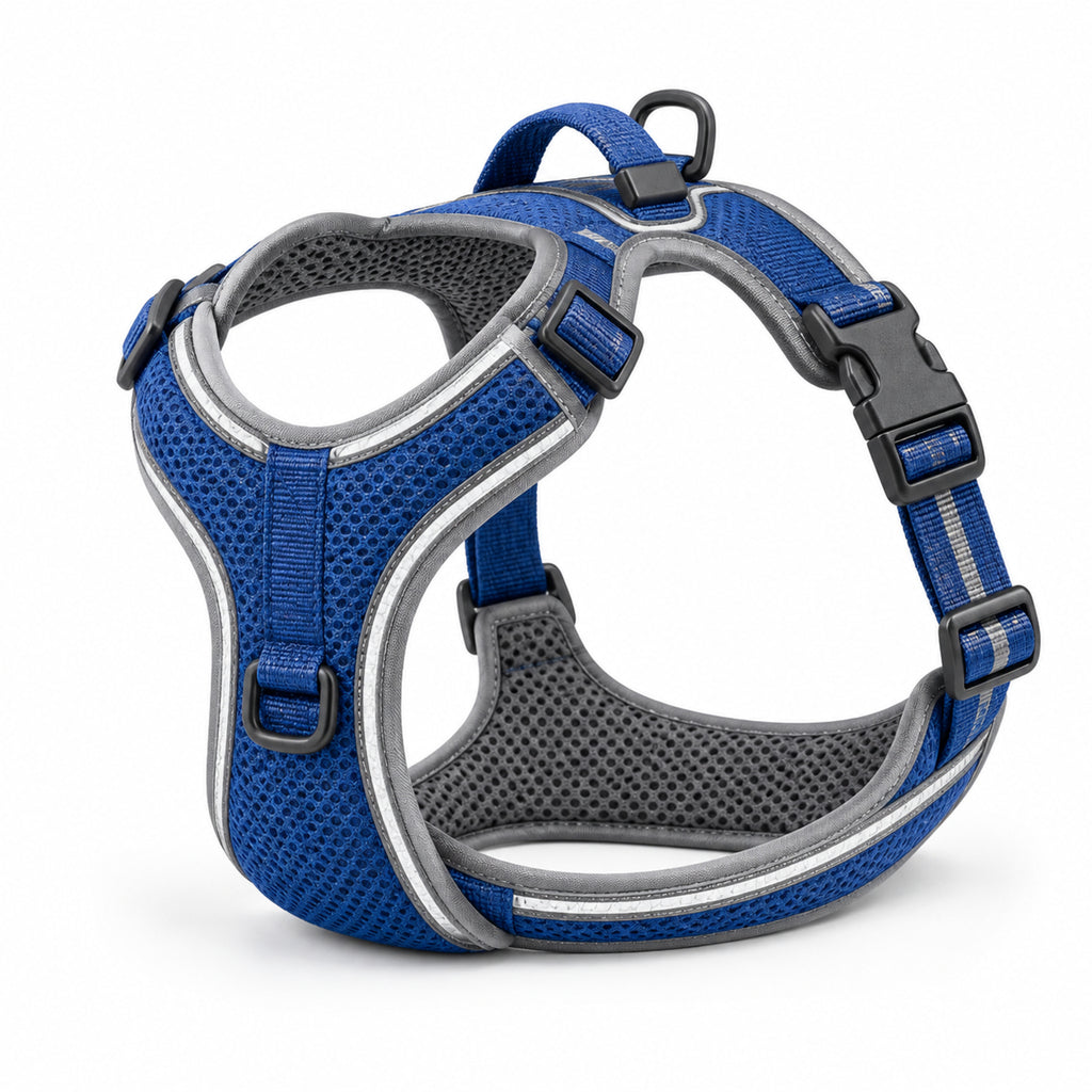 Glowline Flex Harness