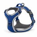 Glowline Flex Harness