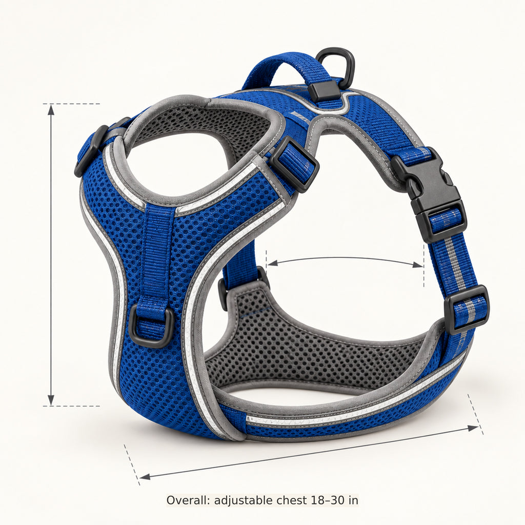 Glowline Flex Harness