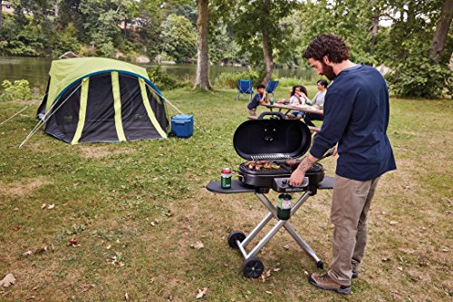 Roadtrip 285 Portable Stand-up Propane Grill, Gas Grill with 3 Adjustable Burners