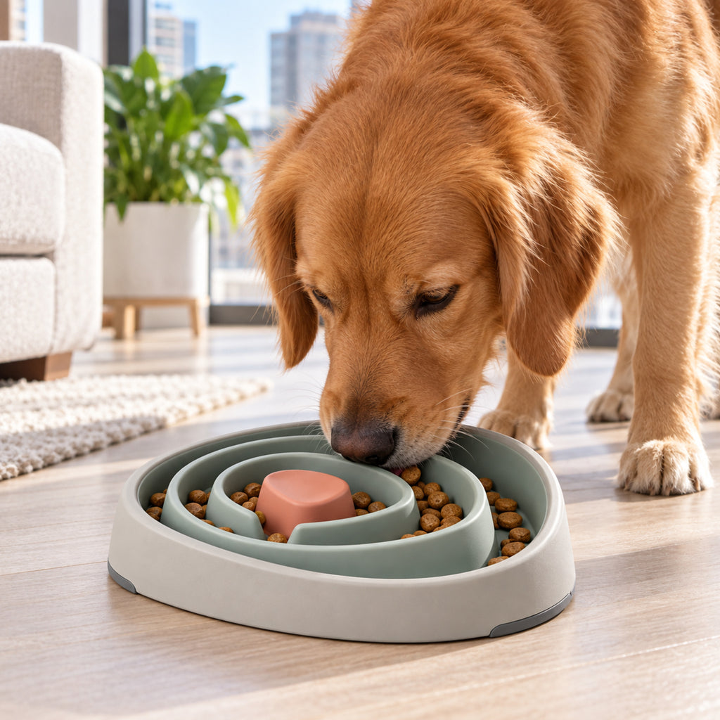 Ripple Pace Feeder