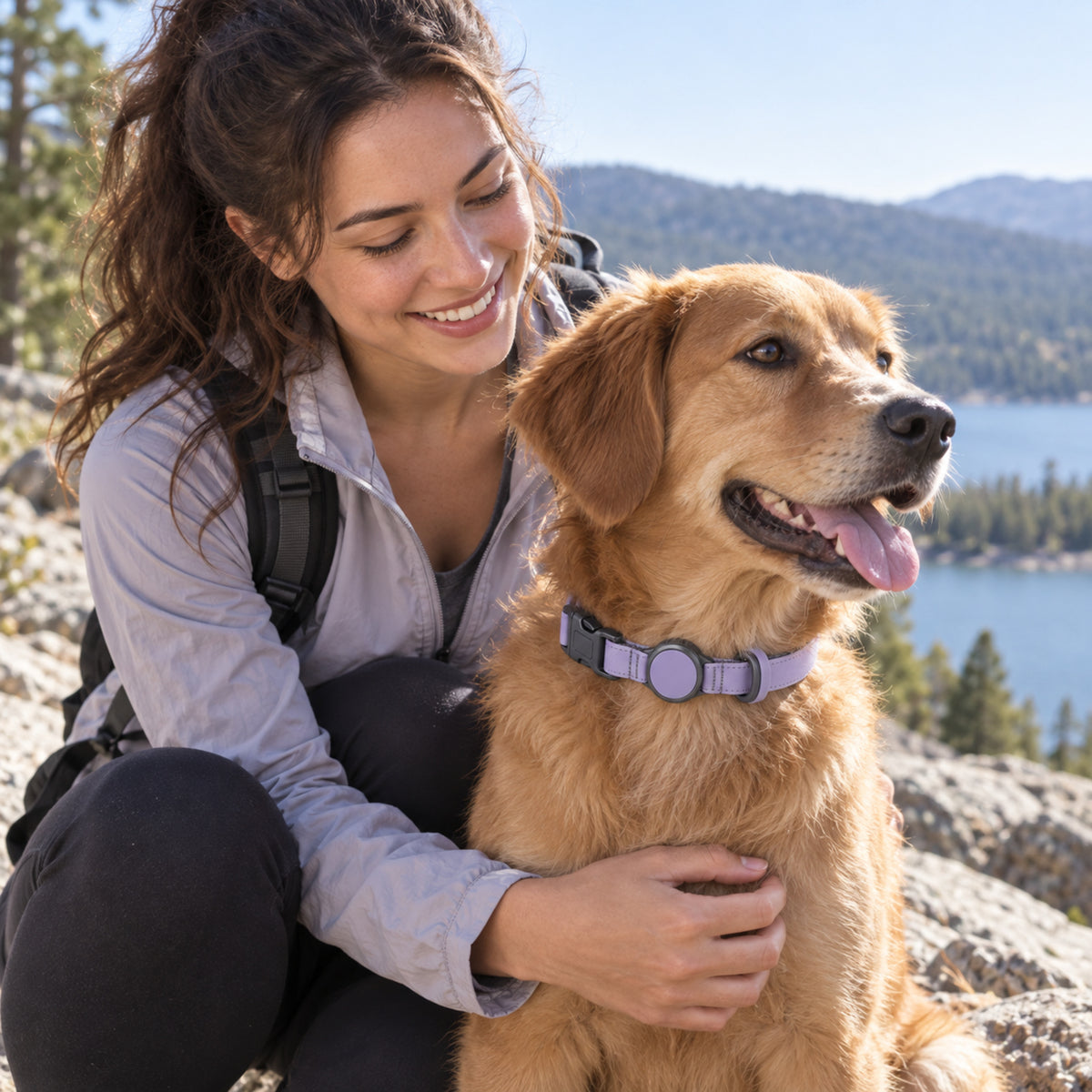 Halo Tag Collar
