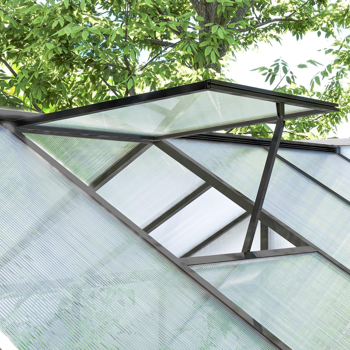 Walk-In Polycarbonate Greenhouse with Aluminum Frame and Roof Vent