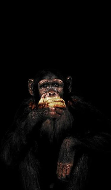 Abstract Monkey Wall Art Canvas – Modern Frameless Decorative Painting
