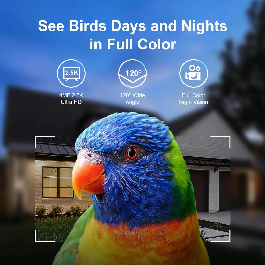 Solar-Powered Smart Bird Feeder with 2.5K Camera