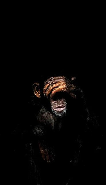 Abstract Monkey Wall Art Canvas – Modern Frameless Decorative Painting