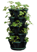 Mr. Stacky 1305-hg 5-Tier Stackable Strawberry Herb Flower & Vegetable Planter