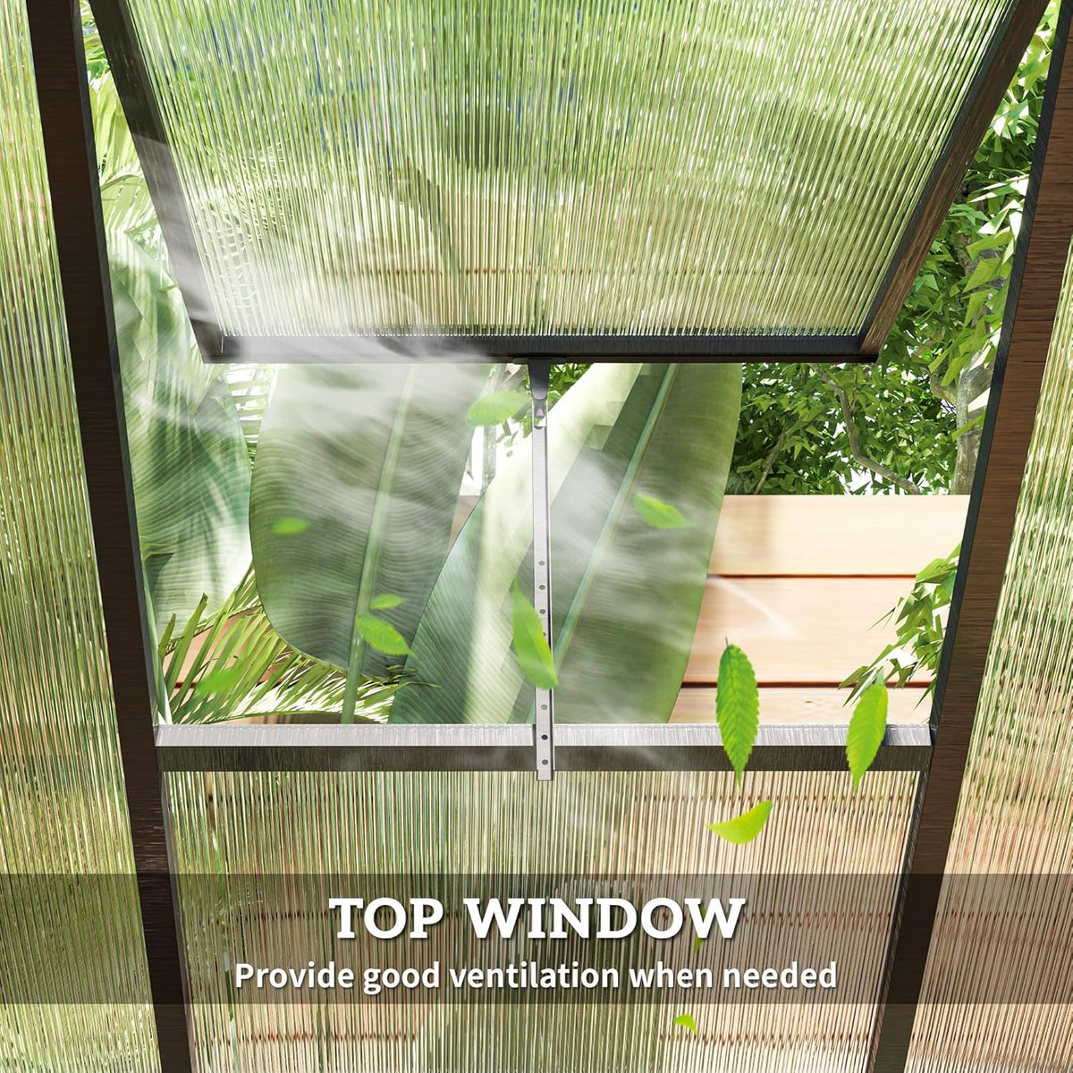 Walk-In Polycarbonate Greenhouse with Aluminum Frame and Roof Vent