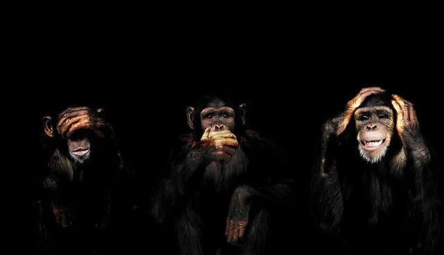 Abstract Monkey Wall Art Canvas – Modern Frameless Decorative Painting