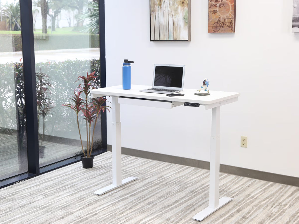 Motionwise Black Electric Height Adjustable Standing Desk, 24?x48", Height Adjustable 28" - 48" with 4 Pre - Set Height Adjustments and USB Charge Port, Multiple Colors