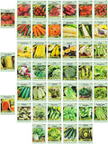 Set of 43 Assorted Vegetable & Herb Seeds - 43 Varieties - Create A Deluxe Garden All Seeds Are Heirloom - 100% Non-GMO by Black Duck Brand